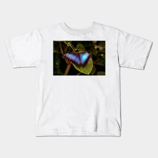 Blue Morpho Butterfly Kids T-Shirt